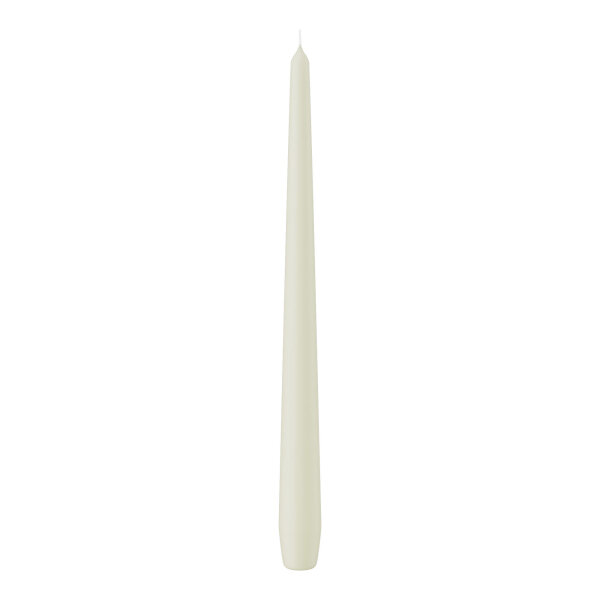 Wiedemann Spitzkerzen Elfenbein Ø 25 x 300 mm, 12 Stück