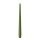 Wiedemann Spitzkerzen Olive Ø 25 x 300 mm, 12 Stück