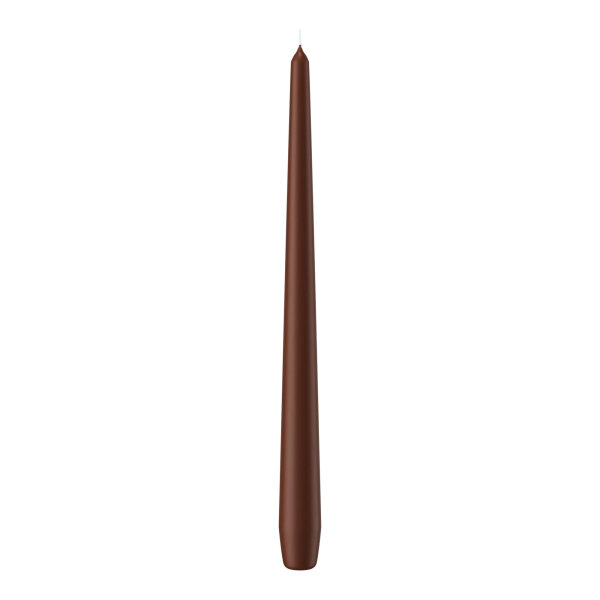 Wiedemann Spitzkerzen Kastanie Braun Ø 25 x 300 mm, 12 Stück