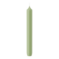 Leuchterkerzen Pastell Grün Aloe Vera 185 x Ø...