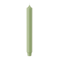 Stabkerzen mit Zapfenfuß Aloe Vera 249 x Ø...