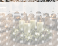Premium Adventskranzkerzen Aloe Vera 80 x Ø 48 mm, 4 Stück