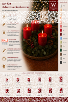 Premium Adventskranzkerzen Aloe Vera 80 x Ø 48 mm, 4 Stück
