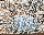 Premium Adventskranzkerzen Himmelblau 80 x Ø 48 mm, 4 Stück