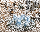 Premium Adventskranzkerzen Himmelblau 100 x Ø 98 mm, 4 Stück