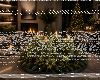 Premium Adventskranzkerzen Olive 100 x Ø 58 mm, 4 Stück