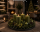 Premium Adventskranzkerzen Olive 100 x Ø 58 mm, 4 Stück