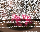 Premium Adventskranzkerzen Pink 200 x Ø 78 mm, 4 Stück