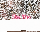 Premium Adventskranzkerzen Pink 150 x Ø 98 mm, 4 Stück