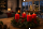 Premium Adventskranzkerzen Rot 80 x Ø 58 mm, 4 Stück