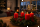 Premium Adventskranzkerzen Rot 100 x Ø 58 mm, 4 Stück