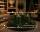 Premium Adventskranzkerzen Tannengrün 100 x Ø 58 mm, 4 Stück
