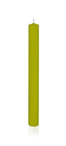 Stabkerzen Grün 250 x Ø 23mm, 10 Stück