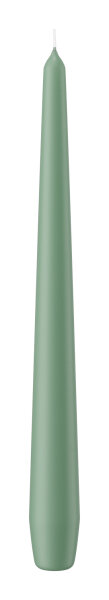 Spitzkerzen Reseda 250 x Ø 25 mm, 8 Stück