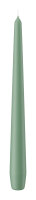 Spitzkerzen Reseda 250 x Ø 25 mm, 8 Stück