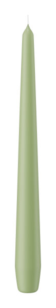 Spitzkerzen Pastell Grün Aloe Vera 250 x Ø 25 mm, 8 Stück