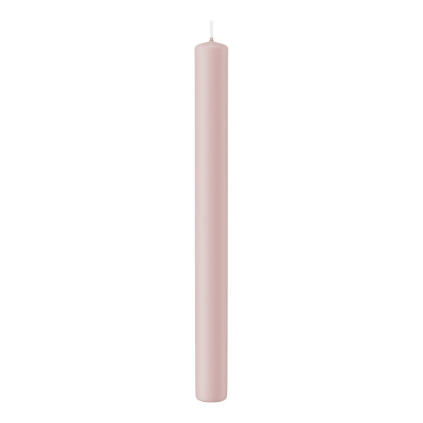 Stabkerzen Rose 250 x Ø 22mm, 10 Stück