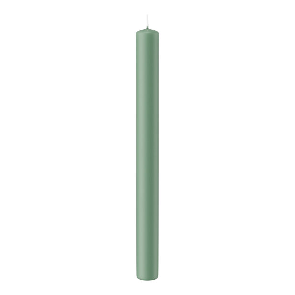 Stabkerzen Reseda 250 x Ø 22mm, 10 Stück